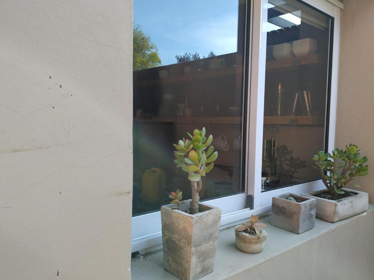 Verde Lillo ネコチェア エクステリア 写真